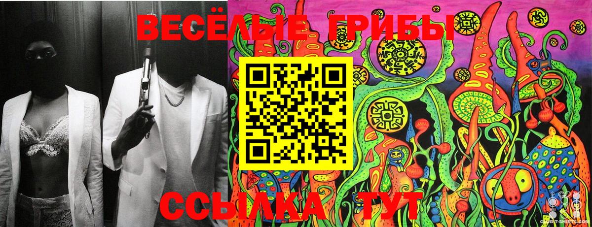 Галлюциногенные грибы Cubensis Миллерово