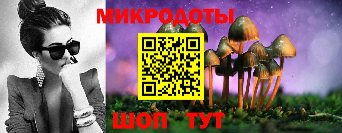 Псилоцибиновые грибы Psilocybe  Вход с VPN  Миллерово 